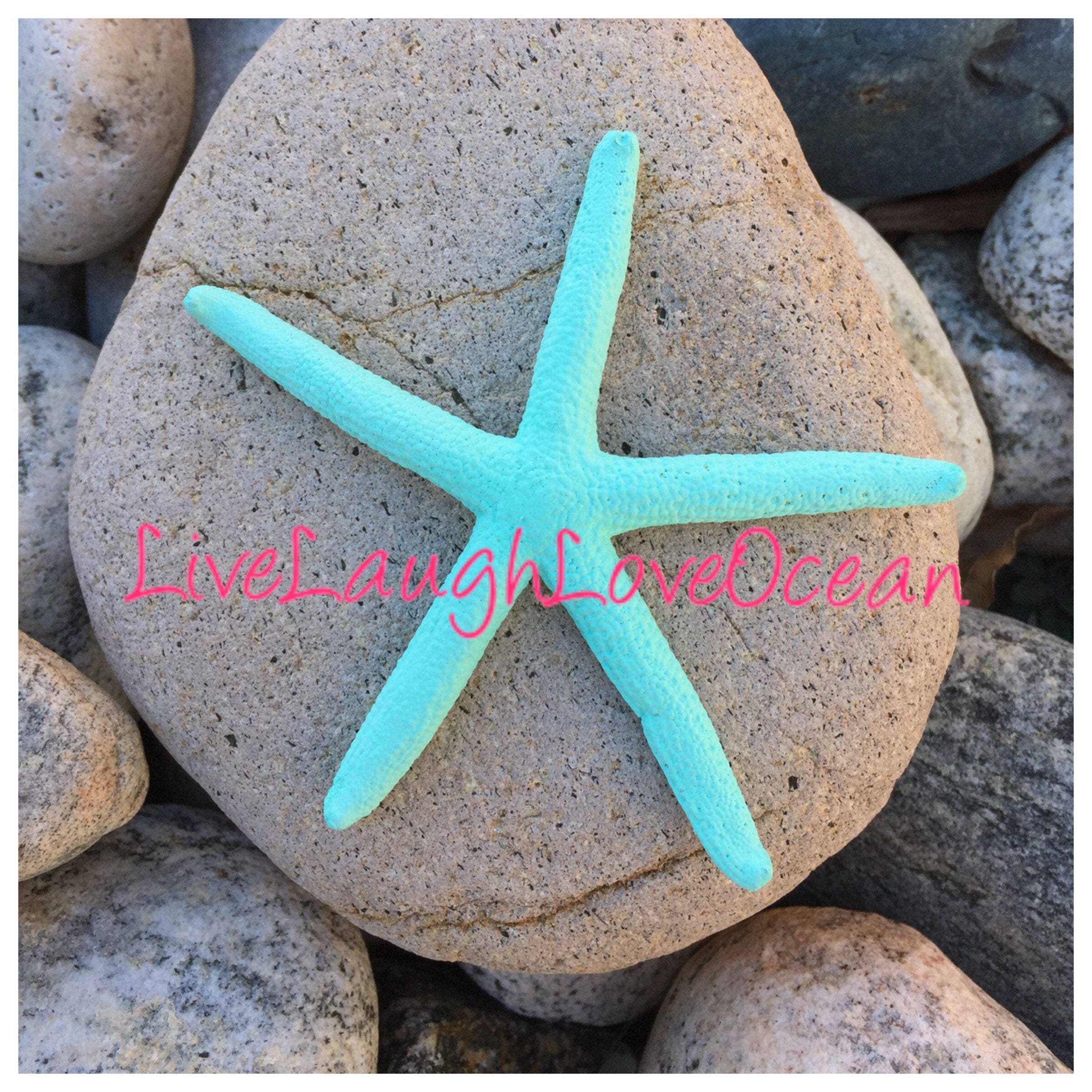 Beach Wedding Decor Starfish Favor Mint Magnet Isle Decor Etsy