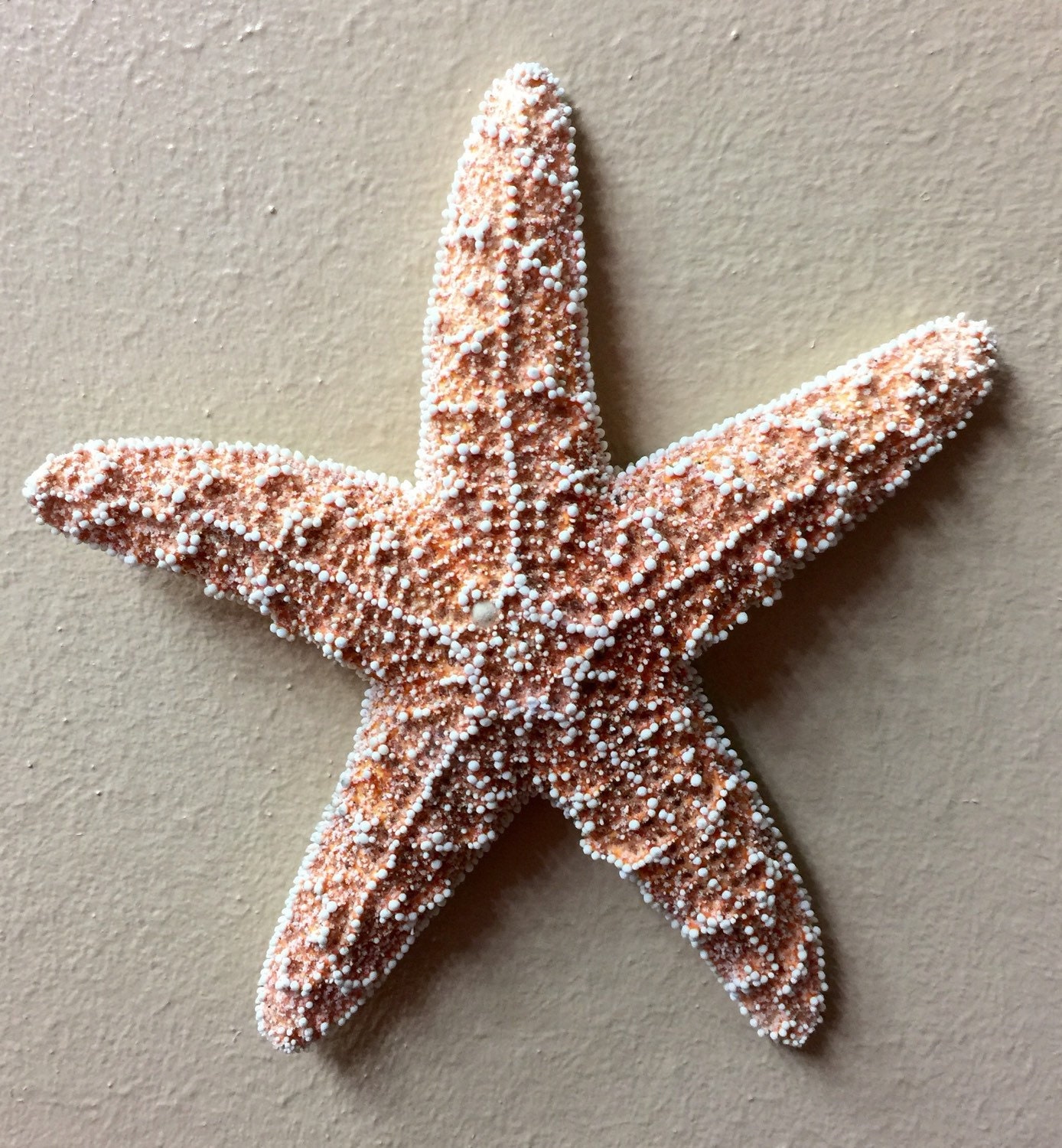 Starfish Wall Decoration Wedding Beach Decor Nautical Etsy