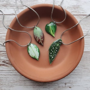 VENDITA - Collana con foglie di piante - Gioielli di piante - Regalo di piante d'appartamento dipinte a mano - Collana con ciondolo di piante realistiche