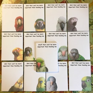 4 x 5,5 inch SHIT-notitieblokken met 13 verschillende papegaaiensoorten om uit te kiezen! Aantal pagina's 50