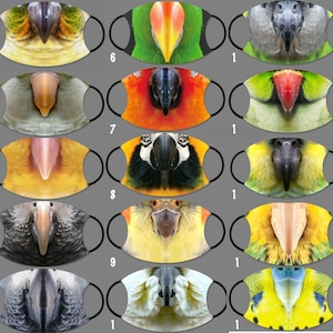 May include: A set of 12 face masks featuring different parrot designs. The masks are all in various colors and patterns, including green, yellow, orange, red, and gray. Each mask has a unique parrot design with a beak and feathers.