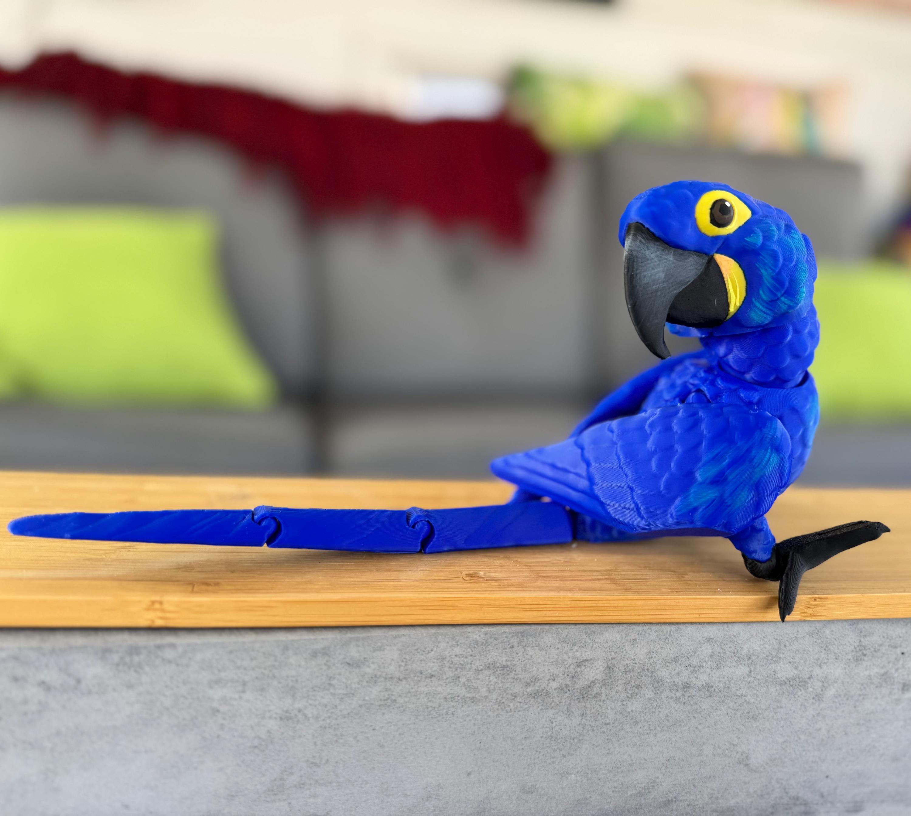 Hyacint ara Nederland