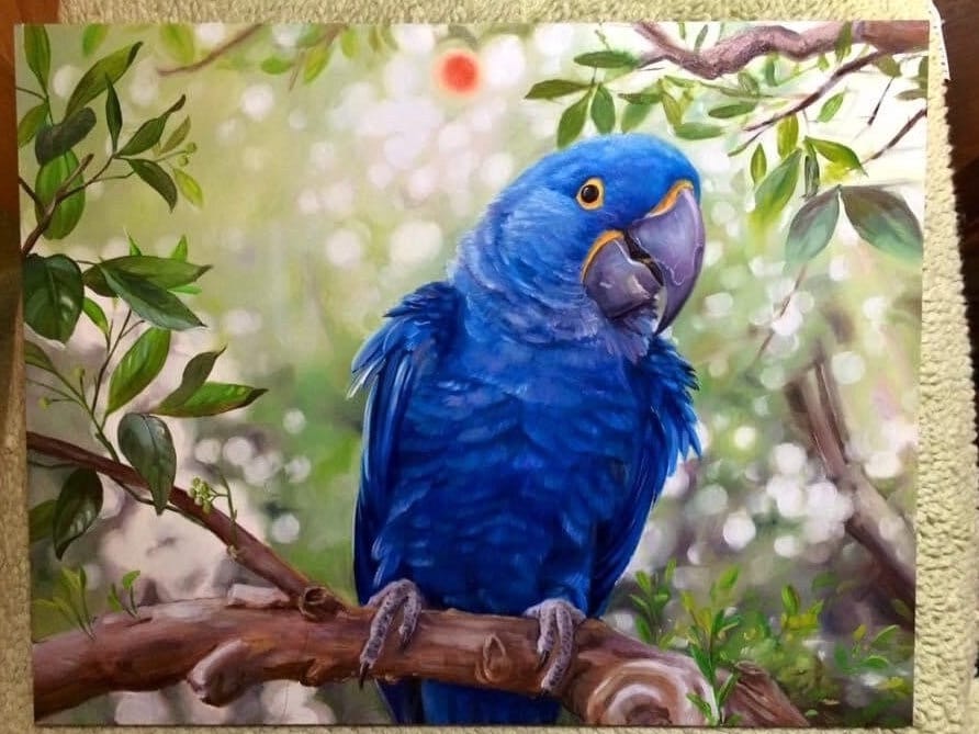 セシリー・ザ・ヒヤシンス・コンゴウインコ - 私のオリジナル絵画の