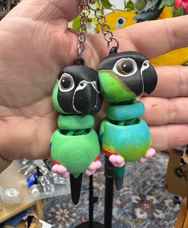 3D Printed NANDAY CONURE Keychains. - Etsy