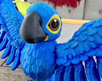 Hyacinth Macaw Articulated 3D Model With Hand Painted Details