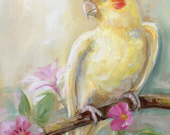 8x10" Giclee Print of a Cockatiel