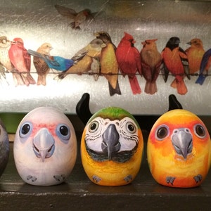 Pode incluir: Cinco estatuetas de pássaros pintadas, cada uma com uma espécie de pássaro diferente. As estatuetas são feitas de pedra e são pintadas de forma realista. Os pássaros estão todos olhando para a frente e têm os olhos abertos. As estatuetas estão dispostas em uma fileira sobre uma superfície de madeira.