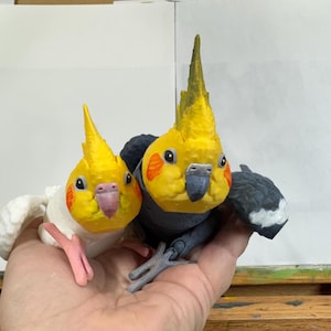 Cockatiel - articulated 3D model with hand painted details.