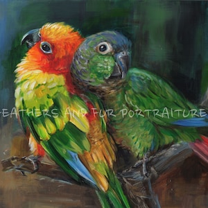 Puede incluir: Una pintura de dos loros posados en una rama. El loro de la izquierda es un conuro sol con plumas naranja, amarillo y verde. El loro de la derecha es un loro monje verde y azul. La pintura está firmada "OF FEATHERS AND FUR PORTRAITURE '14".