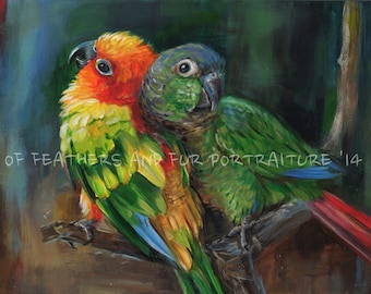 Conure Love - Canvas print (loose) of a Green Cheek Conure and a Sun Conure, cuddling together.