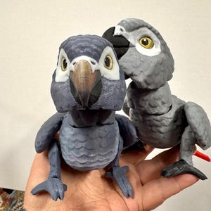 Żako - Timneh lub Kongo - ruchomy model 3D z ręcznie malowanymi szczegółami.