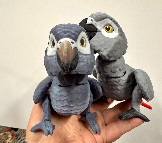 African Grey -timneh or Congo - Articulated 3D Model With Hand