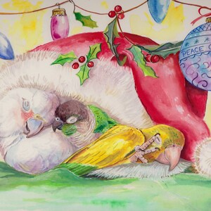 8x10” Snuggling parrots greeting card - featuring original artwork