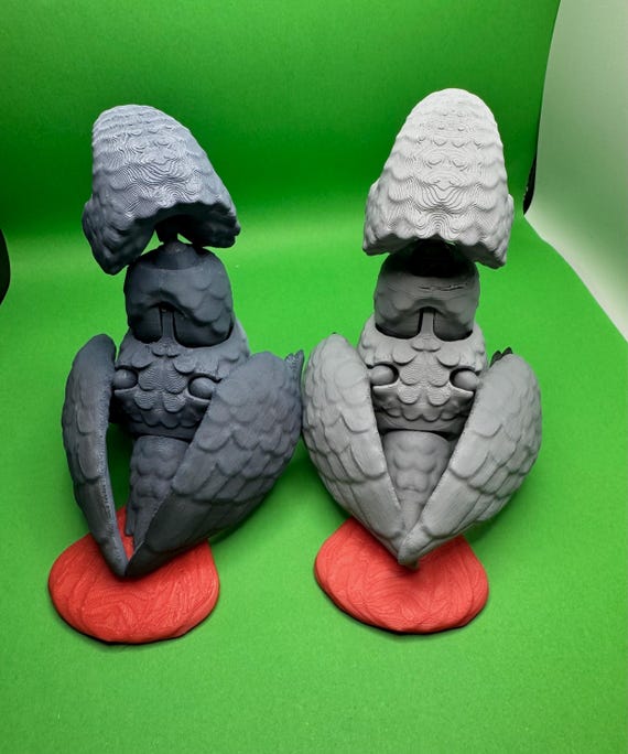 African Grey -timneh or Congo - Articulated 3D Model With Hand