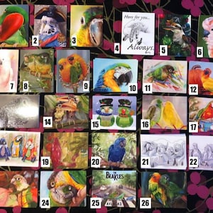 Postcards - create your own set of 10 parrot themed- choose from many different designs.