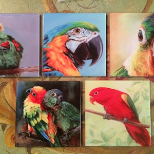 Lovely Parrot ceramic tiles,drink coasters,kitchen bathroom walls backsplash, fireplace tile and plant stands