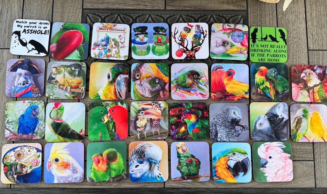 Parrot Coasters Featuring Original Artwork - Etsy