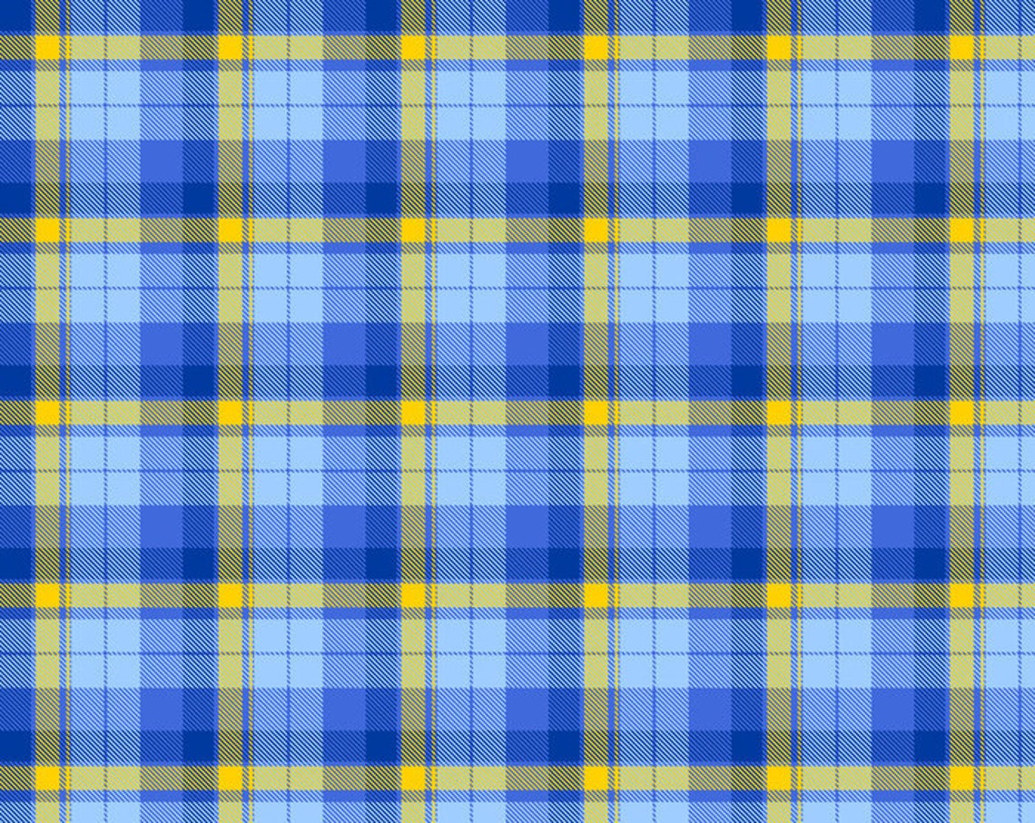 Blue And Yellow Plaid Blankets Plaid Pattern Fleece Blanket Etsy