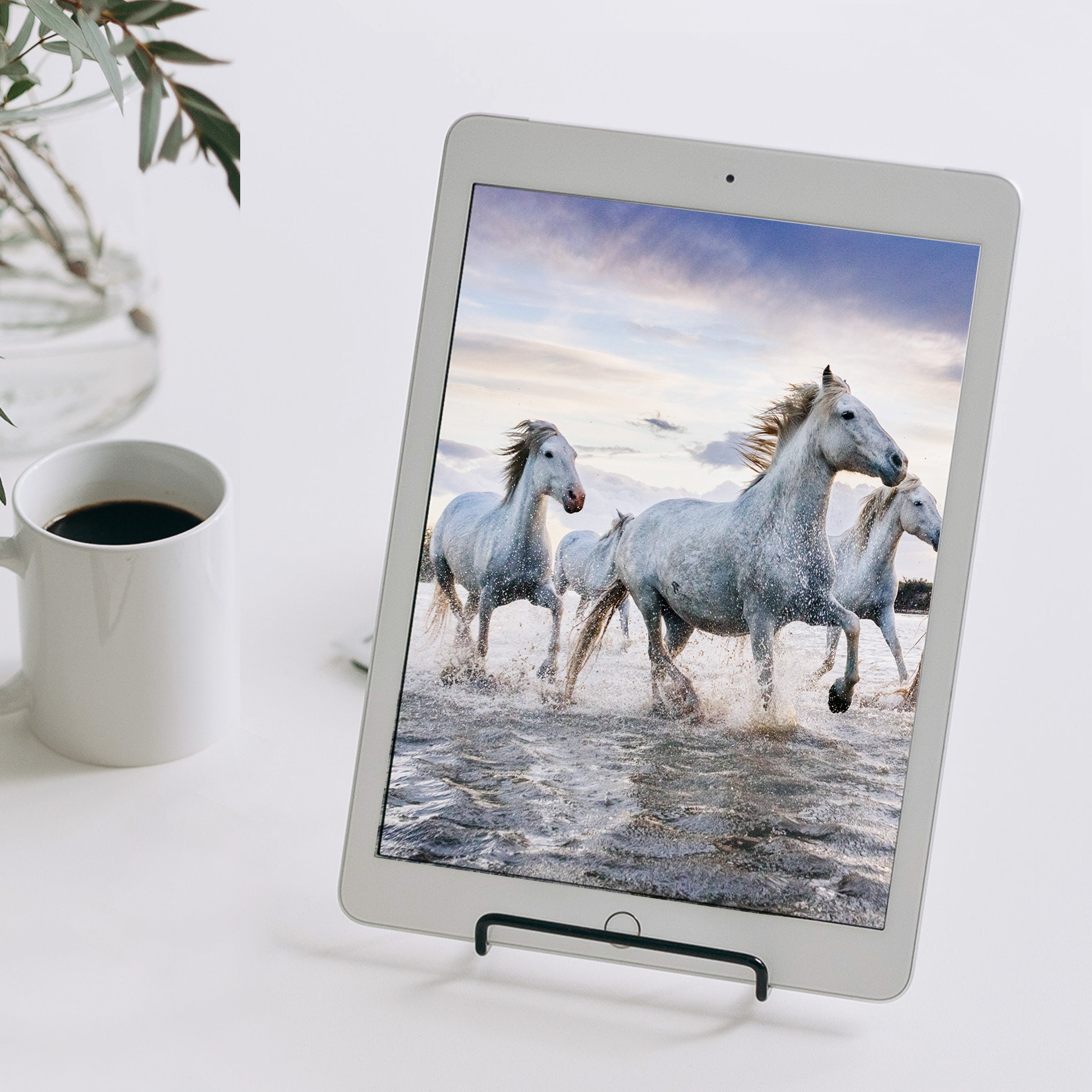 Horses Desktop Wallpaper Horse Digital Download Horse | Etsy
