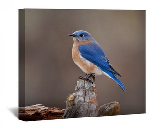 WGI Gallery WA-LBB-812 Lindas Bluebirds Wall Art WGI Gallery WA-LBB-812 Lindas Bluebirds Wall Art