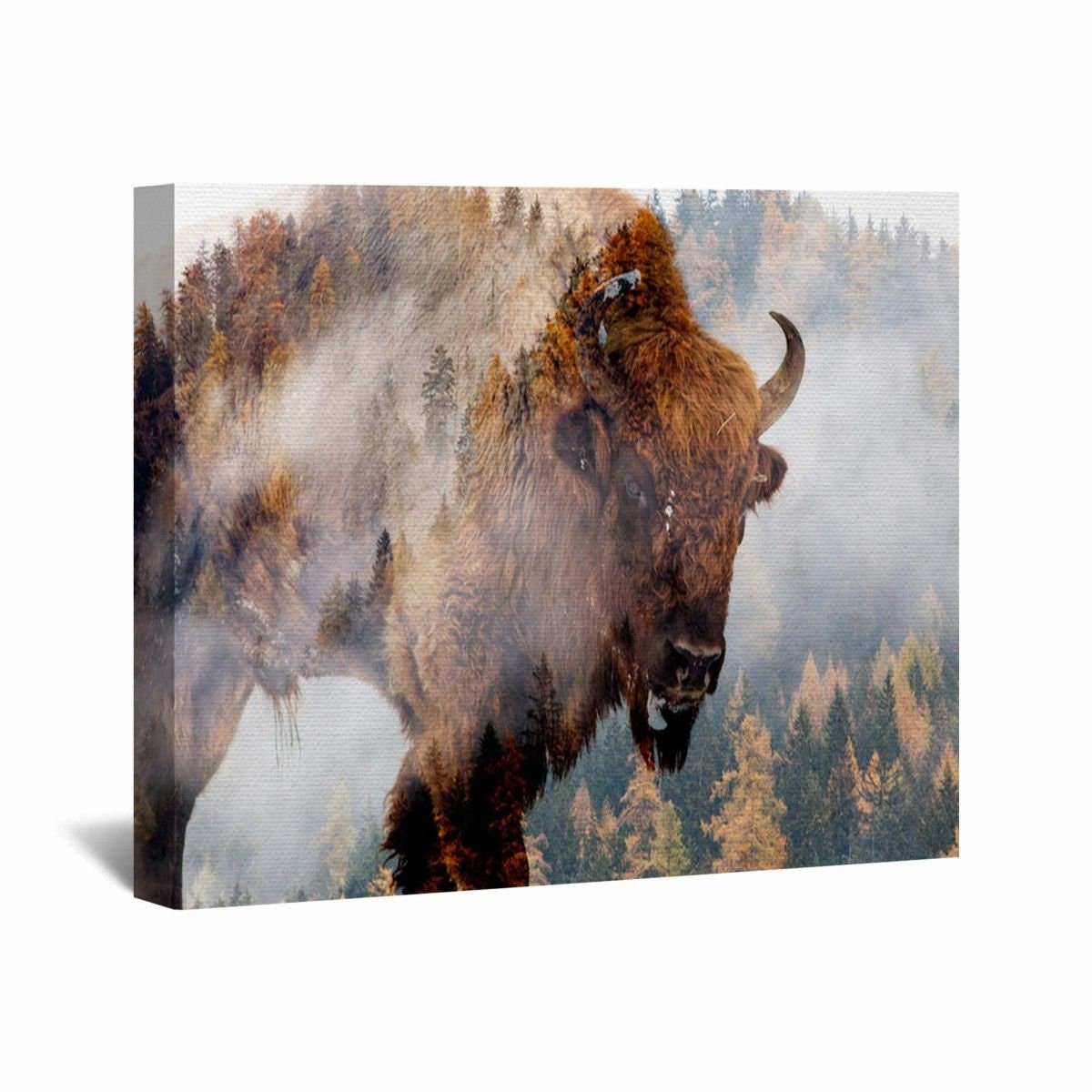 Buffalo Canvas Wall Art Buffalo Wall Art Buffalo Wall Decor Etsy