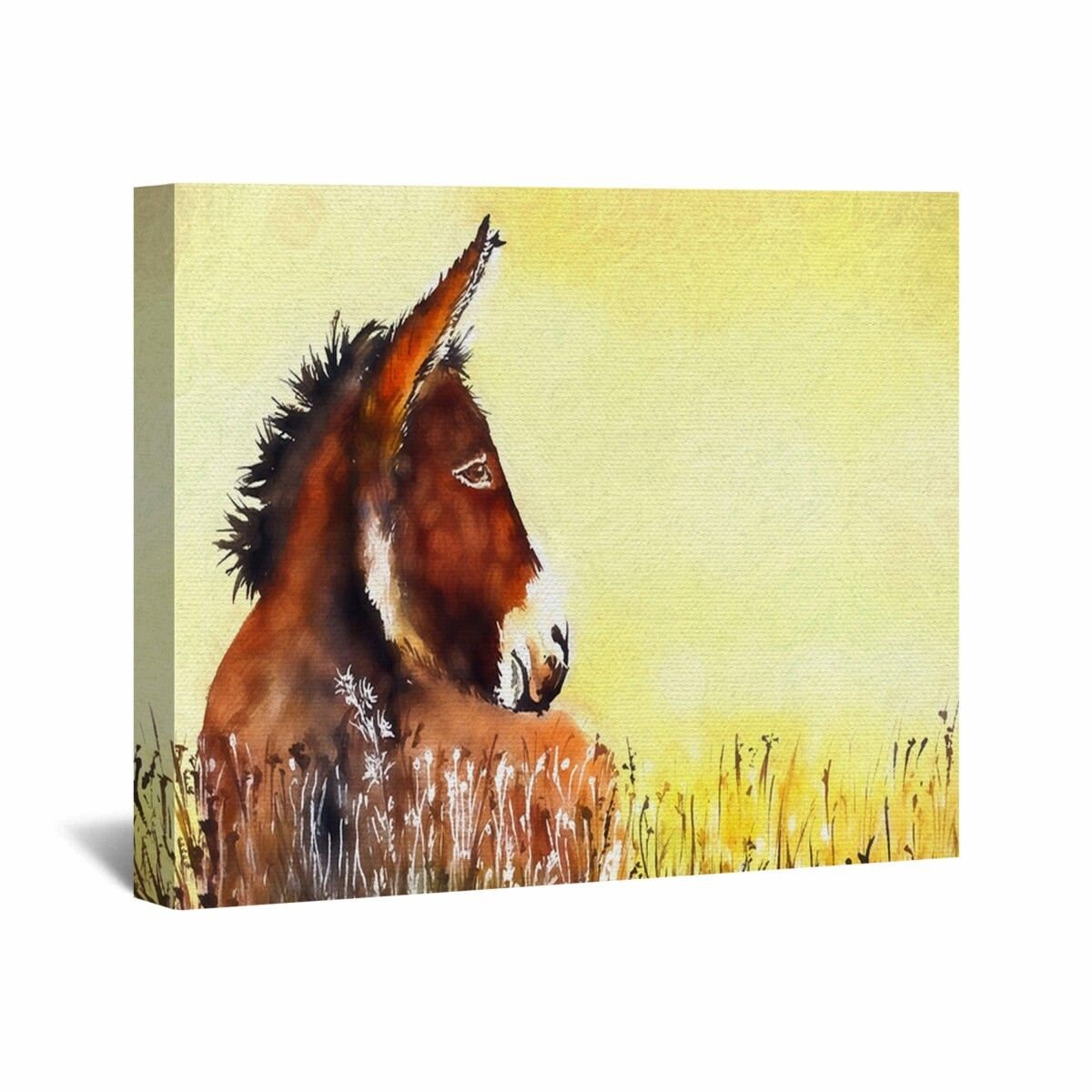 Donkey Canvas Wall Art Donkey Wall Art Donkey Wall Decor Etsy