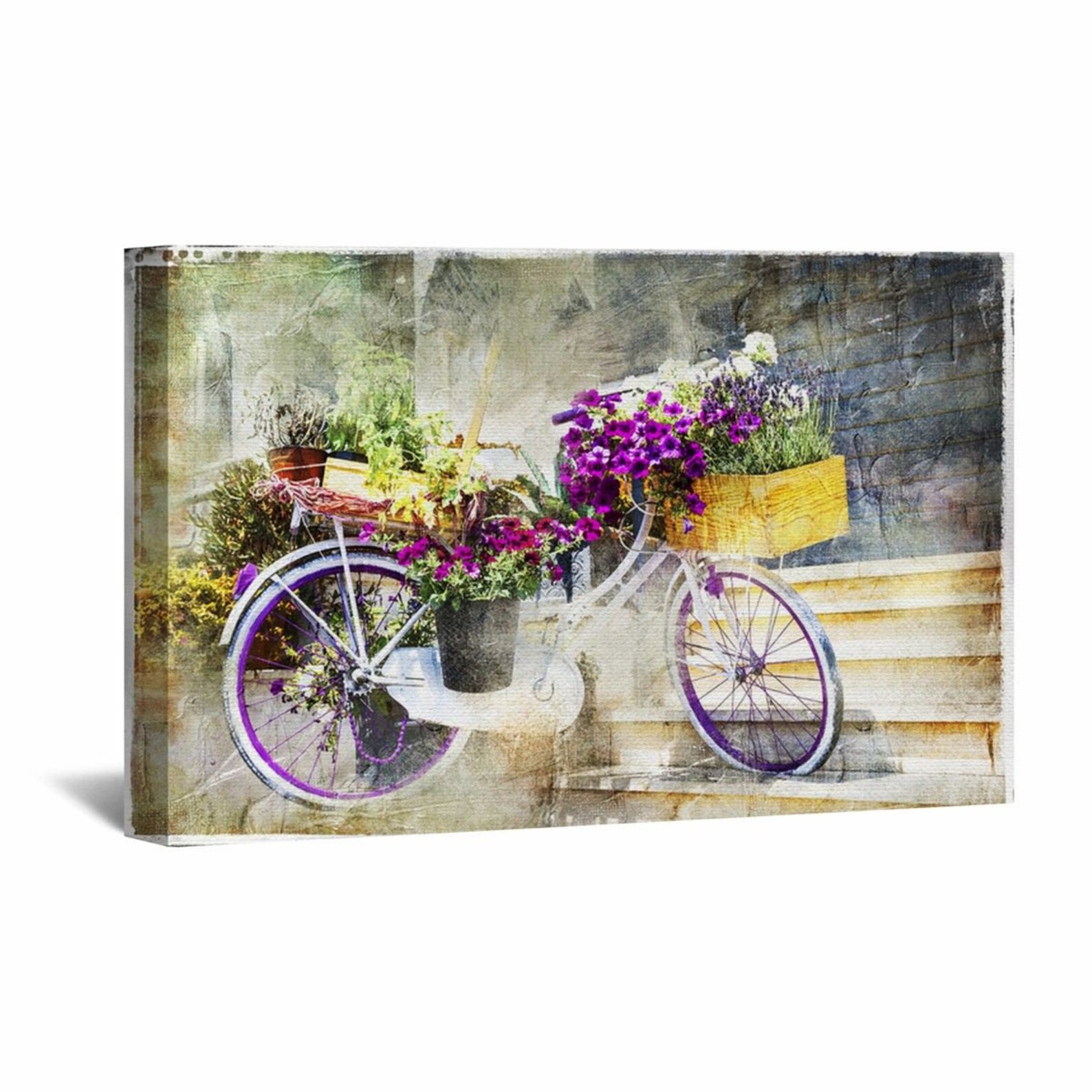 bicycle canvas wall art