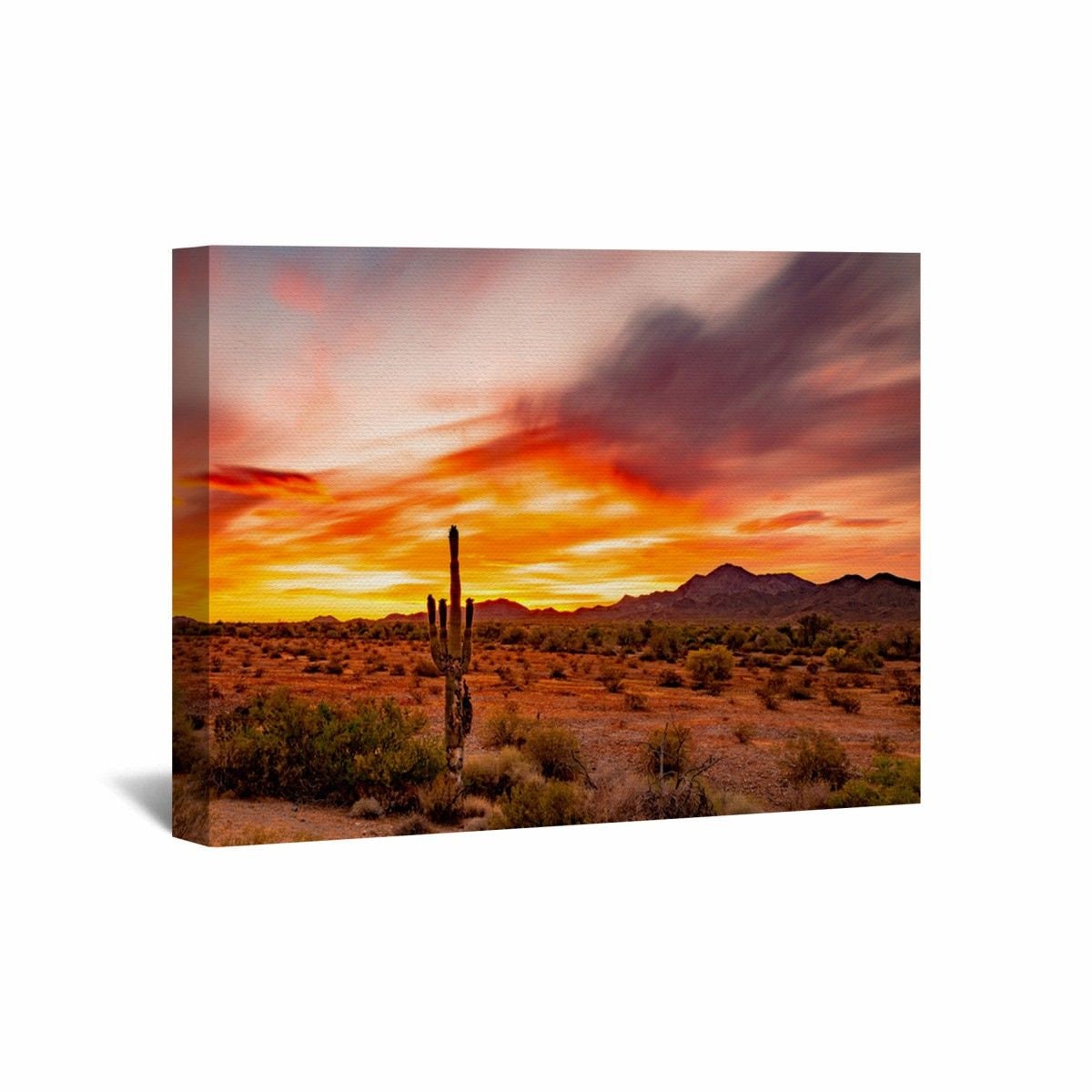 Desert Canvas Wall Art Desert Wall Art Desert Wall Decor Etsy