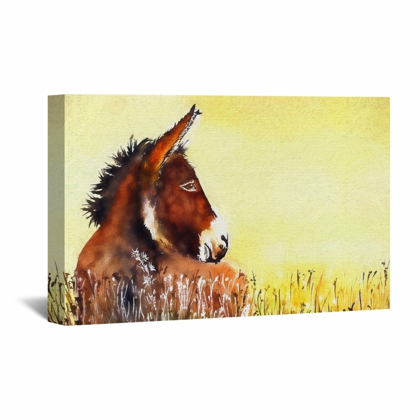 Donkey Canvas Wall Art Donkey Wall Art Donkey Wall Decor Etsy