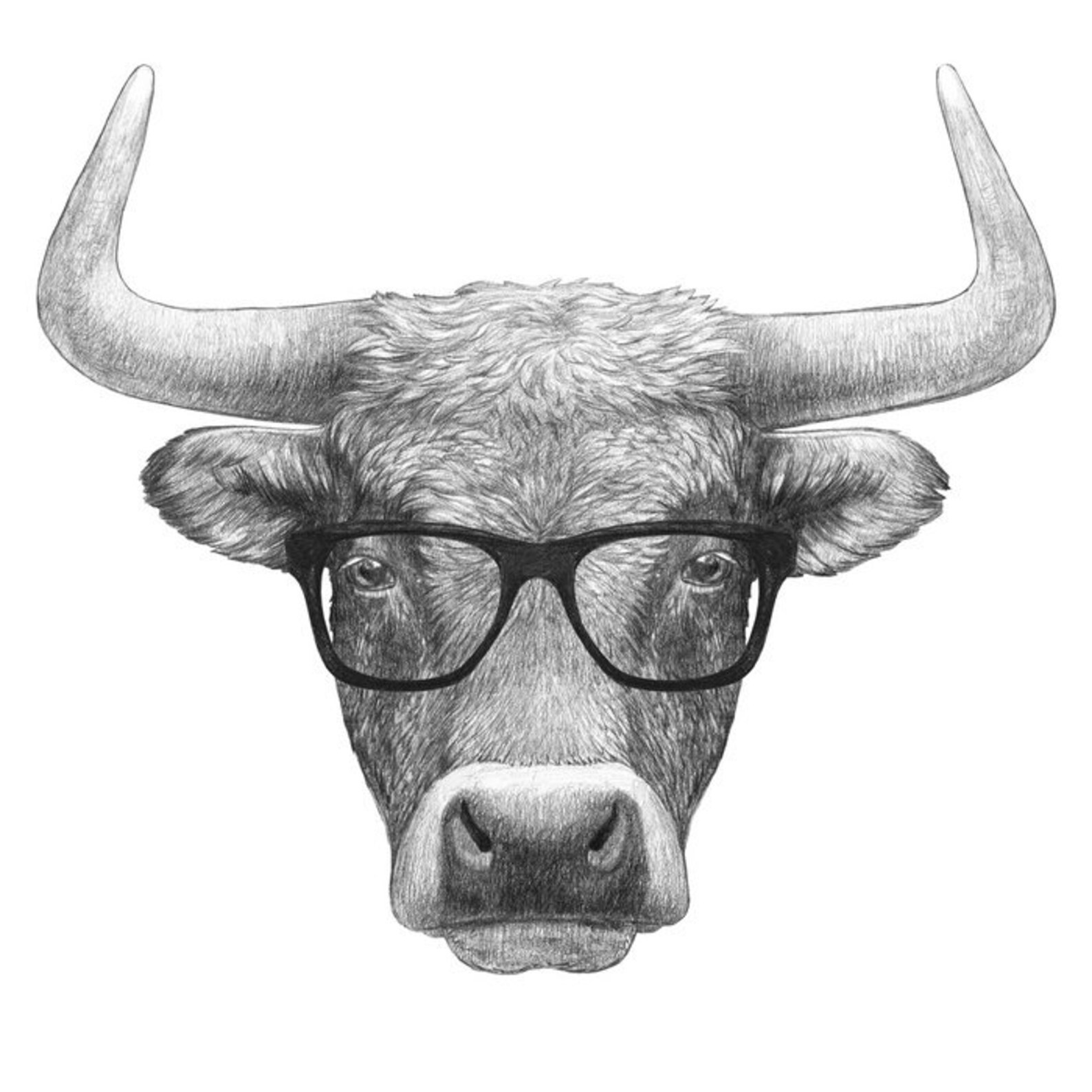 Bull Canvas Wall Art Bull Wall Decor Bull Wall Art Black Etsy