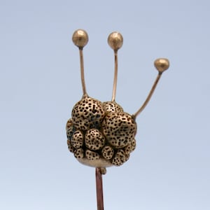 Botanicals - Bronzeblume „Keim“