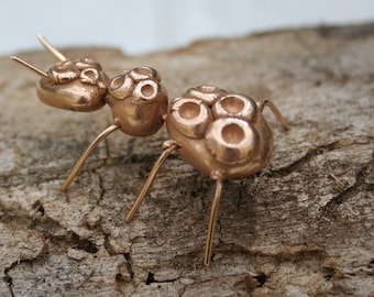 Ant "the dimpled"