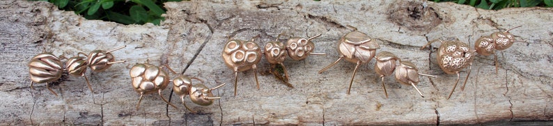 May include: A collection of eight small, gold-colored, ant-shaped sculptures with segmented bodies and six legs. The sculptures are arranged in a row on a piece of weathered wood.