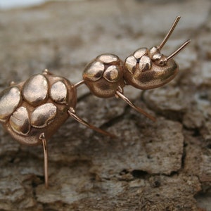 May include: A close-up of a copper ant sculpture. The ant is made of small, rounded pieces of copper that are joined together. The ant has six legs and two antennae. The ant is standing on a piece of wood.