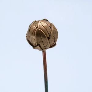 Op de afbeelding: Een gouden metalen bloemknop met een getextureerd oppervlak, op een dunne koperkleurige steel.