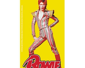 David Bowie Pose Vinyl Sticker, High Quality, Officially Licensed, Ziggy Stardust, Aladdin Sane, Bumper Sticker, Computer Sticker, Music