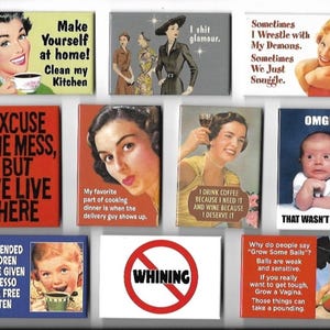 Funny Fridge Magnets | Retro, Witty, Arty Magnets | Sarcastic Magnets | Fridge Fun