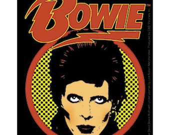 David Bowie Vinyl Sticker, High Quality, Officially Licensed, Music, Ziggy Stardust, Bumper Sticker, Computer Sticker