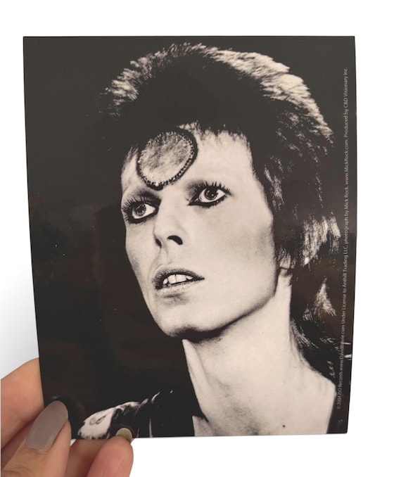 David Bowie Black and White Vinyl Sticker | Officially Licensed