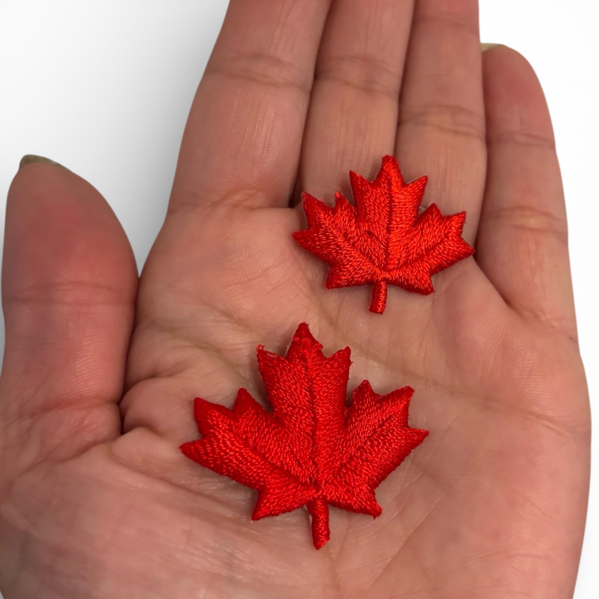 Set Di Simboli Di Bandiera Canadesi Icone Della Bandiera Nazionale Canadese Gm1319067133 406028154