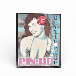 May include: A framed print with a vintage pin-up illustration. It depicts a woman with dark hair and a red flower. The words "BELLE PAGE" are stacked vertically in blue, and "PIN-UP" is in pink.