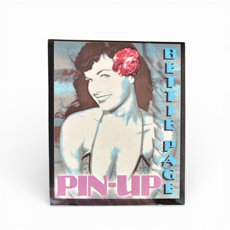 May include: A framed print with a vintage pin-up illustration. It depicts a woman with dark hair and a red flower. The words "BELLE PAGE" are stacked vertically in blue, and "PIN-UP" is in pink.
