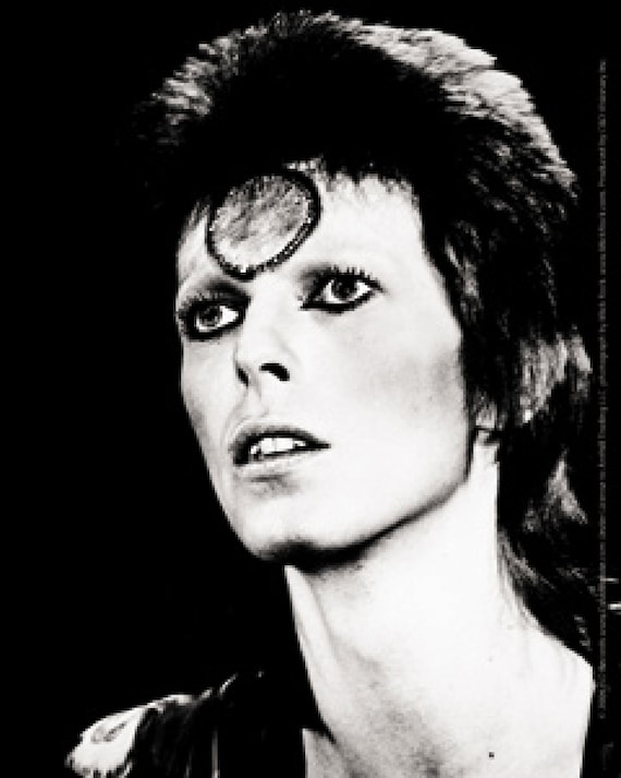 Music David Bowie Aladdin Pose Vinyl Sticker / Decal Ziggy Stardust Glam