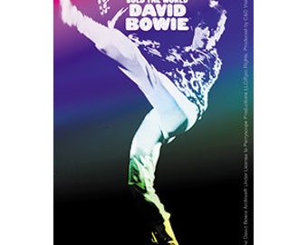 David Bowie Vinyl Sticker, Officially Licensed, Man Who Sold the World, Music, Bumper Sticker, Computer Sticker