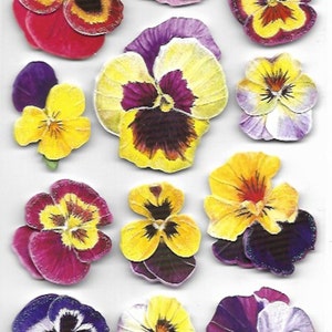Pretty Flower Stickers | 3D Flower Sticker Set With Pop-up Paper ...