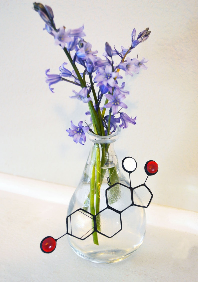 Stained Glass Molecule Suncatcher Estrogen image 1
