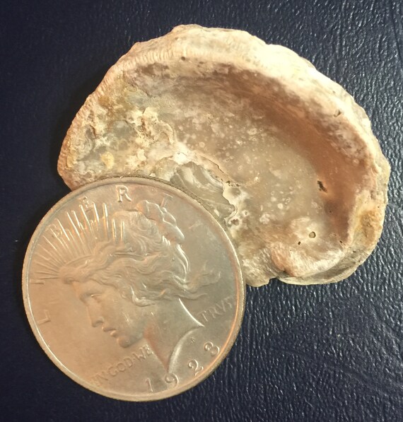 1923 liberty silver dollar mint mark location