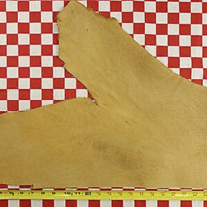 Horween natural tumbled bison  5-6 oz leather hide 28&quot;x17&quot;  nat. quality