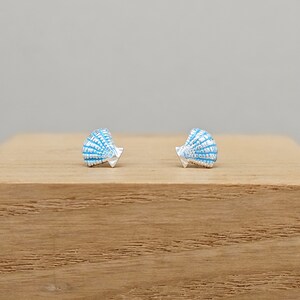 May include: A pair of silver stud earrings with a blue seashell design.