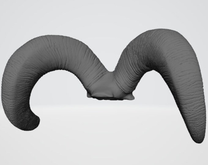 Sheep Horns 3D Model STL